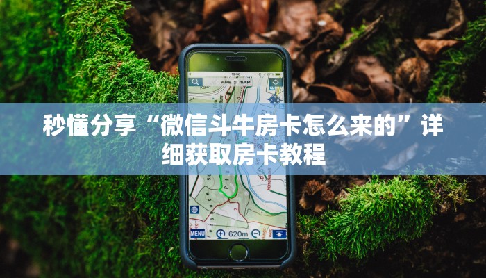 秒懂分享“微信斗牛房卡怎么来的”详细获取房卡教程