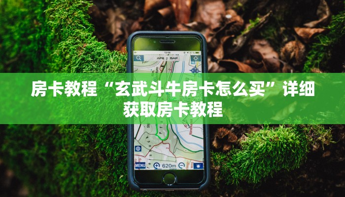 房卡教程“玄武斗牛房卡怎么买”详细获取房卡教程